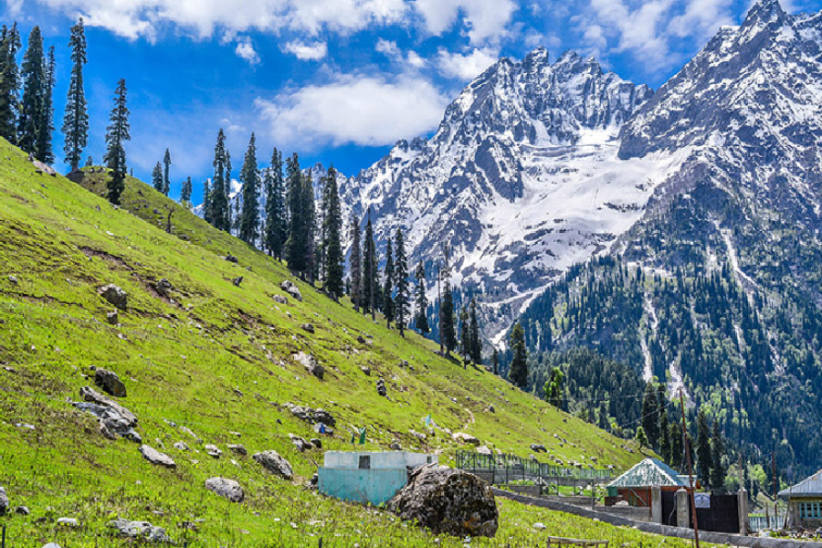 Charming Srinagar Gulmarg Tour Package