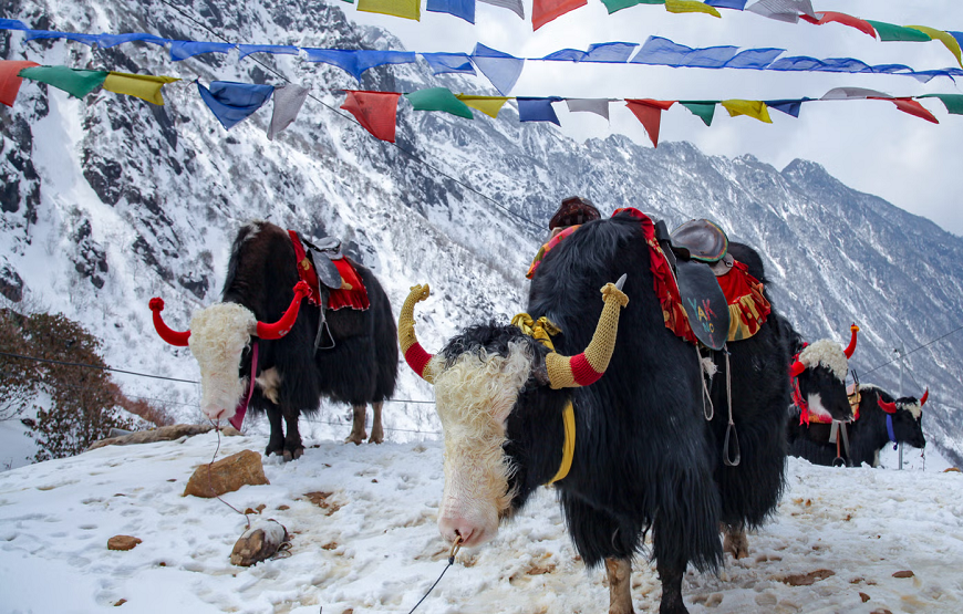Eastern Triangle Tour Package