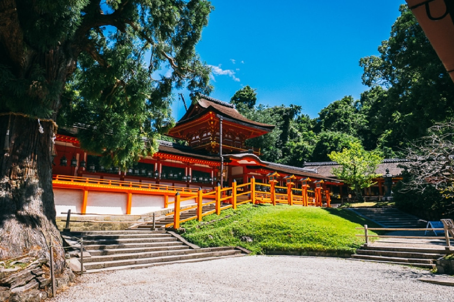 Enjoy Mesmerising Japan with Seoul Tour Package