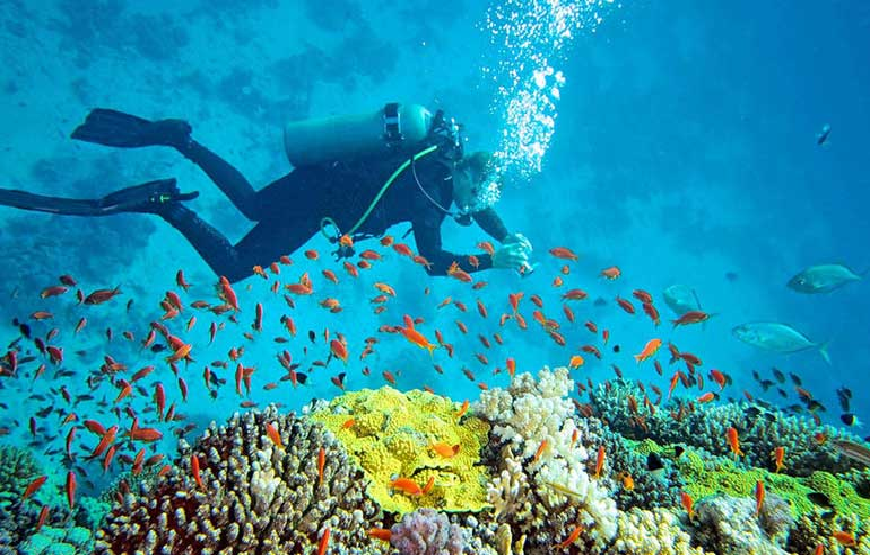 Scenic Andaman Portblair View Tour Package