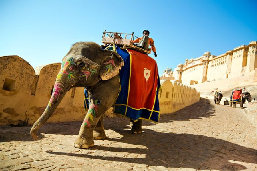 Golden Triangle Jodhpur Tour Package