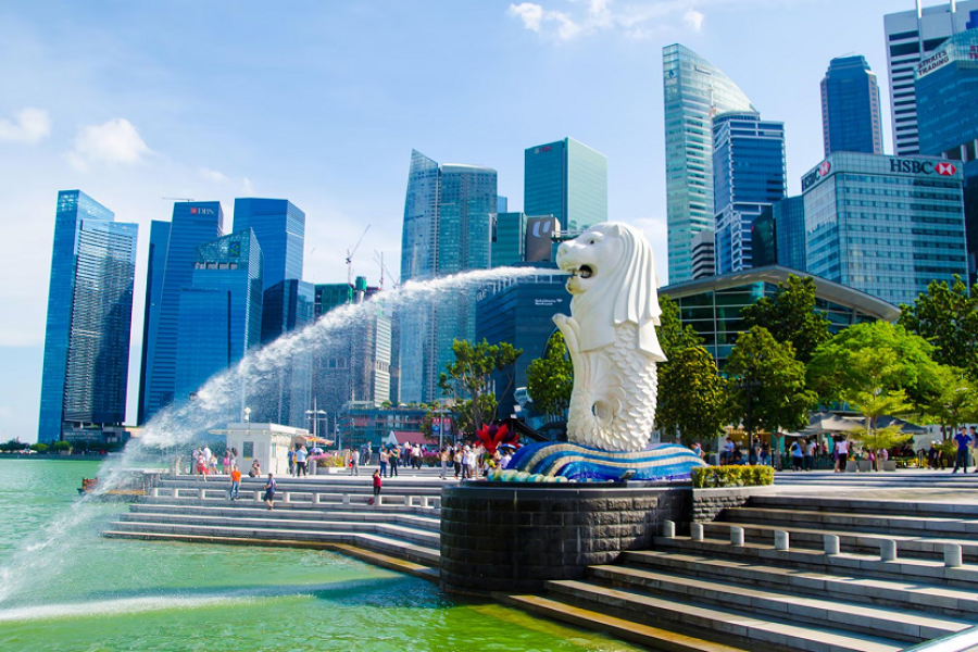 Lion City Tour Package